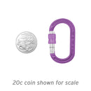 XSRE Lock Mini Accessory Carabiner