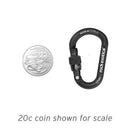 rockX Screw-Lock Accessory Carabiner