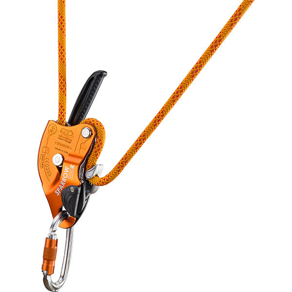 Sparrow Descender